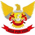 Bombeiros Voluntários de Vila das Aves 