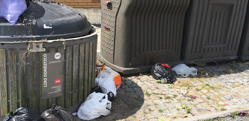 Câmara de Matosinhos alvo de dezenas de reclamações por falta de recolha do lixo